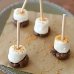 Delightful S'mores Marshmallow Pops